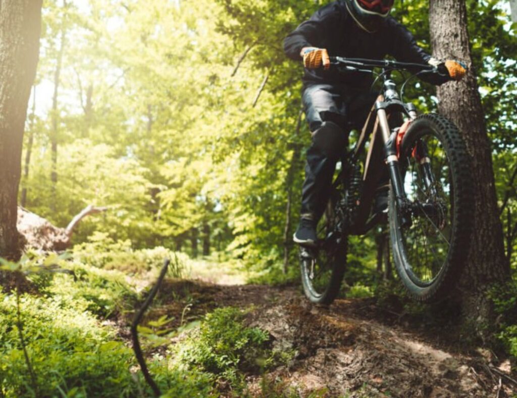 Vététiste en forêt, secteur des équipements de sport outdoor